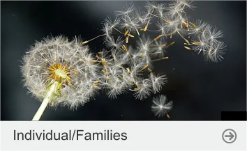 individuals_families Ezer Law Group PLLC - individual/families