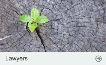 lawyers Ezer Law Group PLLC - Lawyers