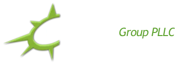 Ezer law group PLLC